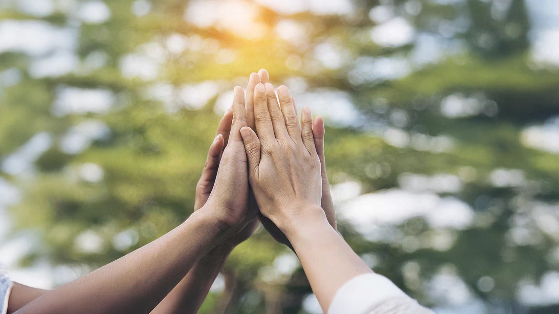 A group of people is clapping their hands.